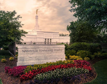 Load image into Gallery viewer, Nashville After The Storm
