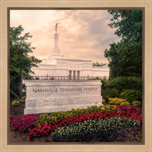 Load image into Gallery viewer, Nashville After The Storm