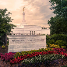 Load image into Gallery viewer, Nashville After The Storm