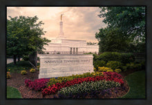 Load image into Gallery viewer, Nashville After The Storm