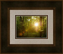 Load image into Gallery viewer, The Morning Breaks