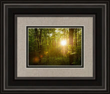 Load image into Gallery viewer, The Morning Breaks