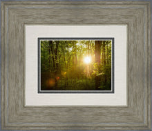 Load image into Gallery viewer, The Morning Breaks