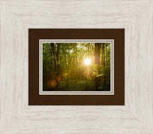 Load image into Gallery viewer, The Morning Breaks