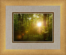 Load image into Gallery viewer, The Morning Breaks