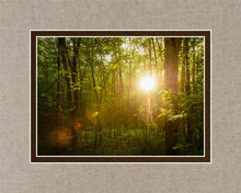 Load image into Gallery viewer, The Morning Breaks