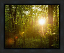 Load image into Gallery viewer, The Morning Breaks