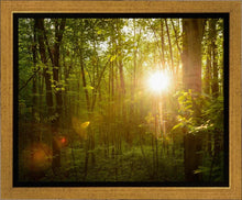 Load image into Gallery viewer, The Morning Breaks