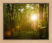 Load image into Gallery viewer, The Morning Breaks
