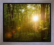 Load image into Gallery viewer, The Morning Breaks