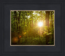 Load image into Gallery viewer, The Morning Breaks