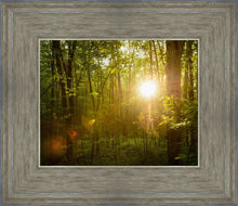 Load image into Gallery viewer, The Morning Breaks
