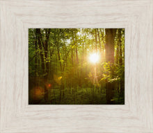 Load image into Gallery viewer, The Morning Breaks