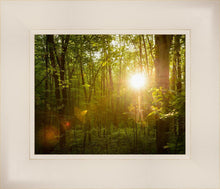 Load image into Gallery viewer, The Morning Breaks