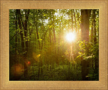 Load image into Gallery viewer, The Morning Breaks