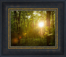 Load image into Gallery viewer, The Morning Breaks
