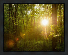 Load image into Gallery viewer, The Morning Breaks