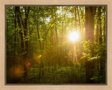 Load image into Gallery viewer, The Morning Breaks