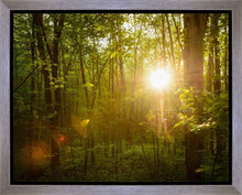 Load image into Gallery viewer, The Morning Breaks