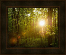 Load image into Gallery viewer, The Morning Breaks