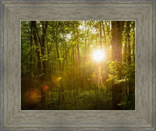 Load image into Gallery viewer, The Morning Breaks