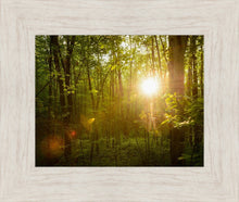 Load image into Gallery viewer, The Morning Breaks