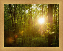 Load image into Gallery viewer, The Morning Breaks