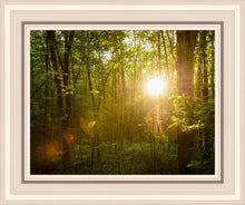 Load image into Gallery viewer, The Morning Breaks