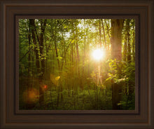 Load image into Gallery viewer, The Morning Breaks
