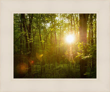 Load image into Gallery viewer, The Morning Breaks