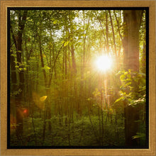 Load image into Gallery viewer, The Morning Breaks