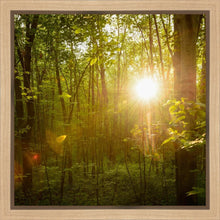 Load image into Gallery viewer, The Morning Breaks