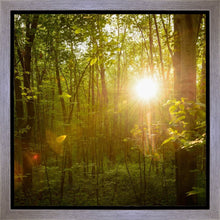 Load image into Gallery viewer, The Morning Breaks