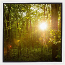 Load image into Gallery viewer, The Morning Breaks