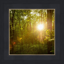 Load image into Gallery viewer, The Morning Breaks