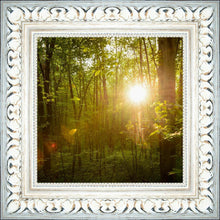 Load image into Gallery viewer, The Morning Breaks