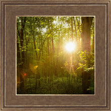 Load image into Gallery viewer, The Morning Breaks