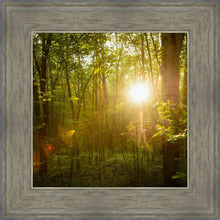 Load image into Gallery viewer, The Morning Breaks