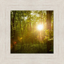 Load image into Gallery viewer, The Morning Breaks