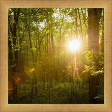 Load image into Gallery viewer, The Morning Breaks