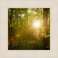 Load image into Gallery viewer, The Morning Breaks