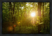 Load image into Gallery viewer, The Morning Breaks