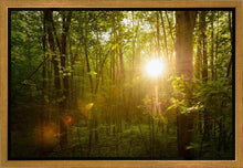 Load image into Gallery viewer, The Morning Breaks