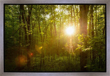 Load image into Gallery viewer, The Morning Breaks
