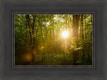 Load image into Gallery viewer, The Morning Breaks