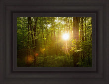Load image into Gallery viewer, The Morning Breaks