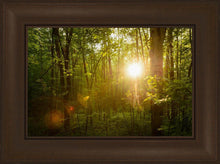 Load image into Gallery viewer, The Morning Breaks