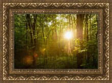 Load image into Gallery viewer, The Morning Breaks