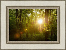 Load image into Gallery viewer, The Morning Breaks