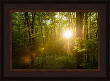 Load image into Gallery viewer, The Morning Breaks